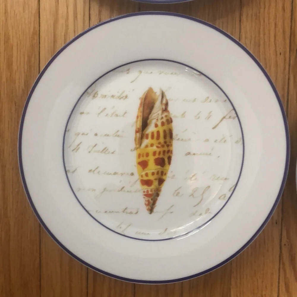 Williams Sonoma Set Seashell Salad Dessert Luncheon Plates